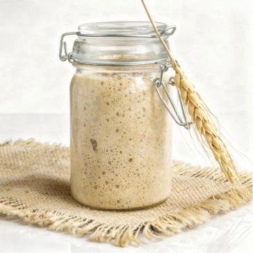 ble Natural Sourdough Starter
